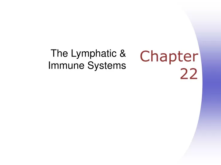 the lymphatic immune systems