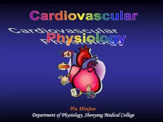 Cardiovascular  Physiology