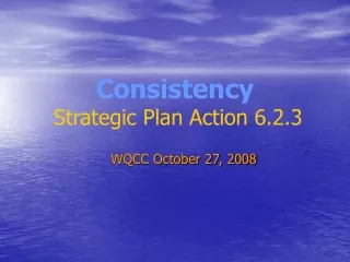 Consistency Strategic Plan Action 6.2.3