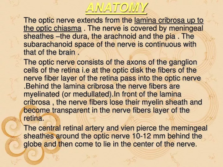 anatomy the optic nerve extends from the lamina