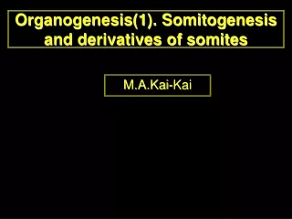 Organogenesis(1). Somitogenesis and derivatives of somites