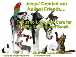 Jesus’ Created our Animal Friends…