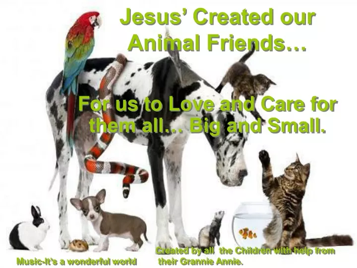 jesus created our animal friends
