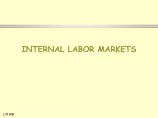 INTERNAL LABOR MARKETS