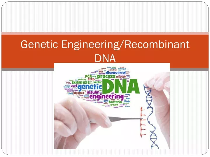 genetic engineering recombinant dna