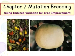Chapter 7 Mutation Breeding Using Induced Variation for Crop Improvement
