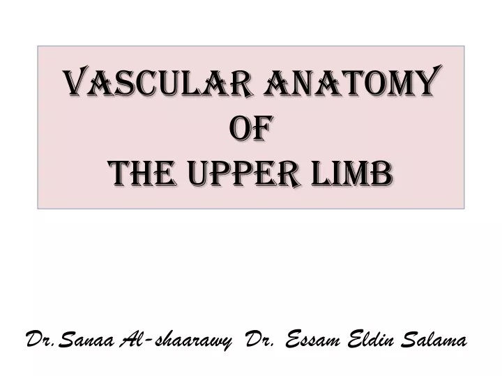vascular anatomy of the upper limb