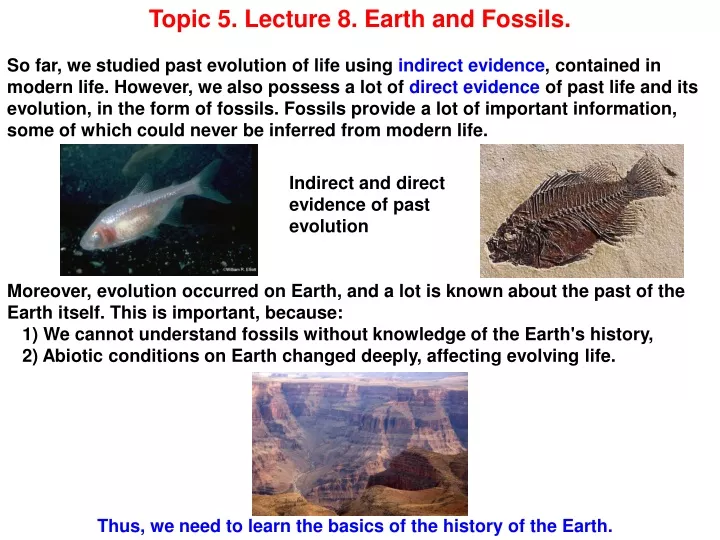 topic 5 lecture 8 earth and fossils