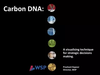 Carbon DNA: