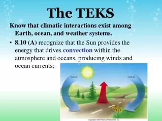 The TEKS