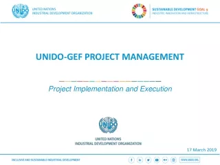 UNIDO-GEF PROJECT MANAGEMENT