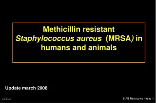 Methicillin resistant  Staphylococcus aureus   (MRSA )  in humans and animals