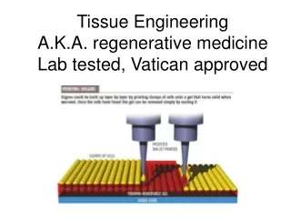 Tissue Engineering A.K.A. regenerative medicine Lab tested, Vatican approved