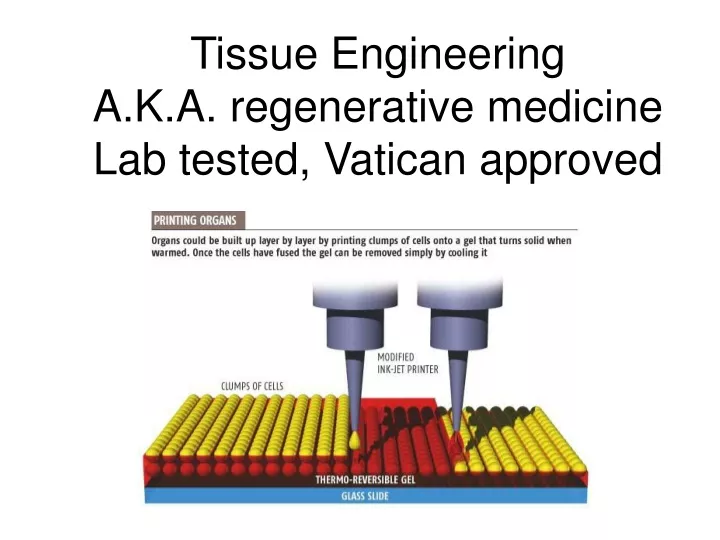 tissue engineering a k a regenerative medicine lab tested vatican approved