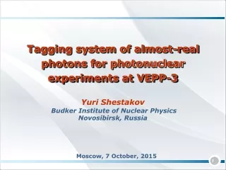 Yuri Shestakov Budker Institute of Nuclear Physics  Novosibirsk, Russia