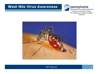 West Nile Virus Awareness
