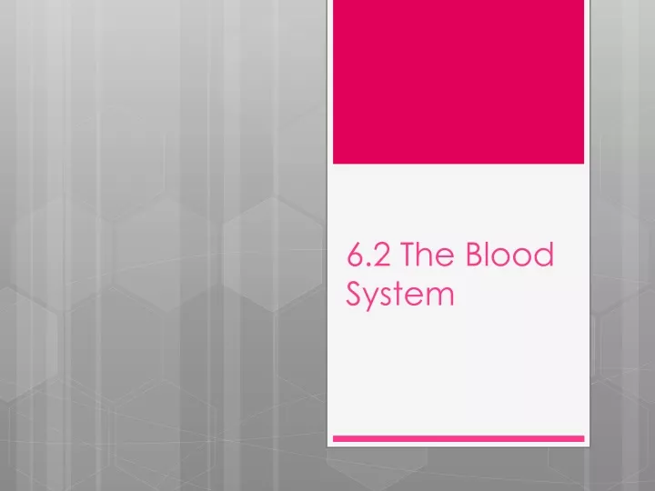 6 2 the blood system