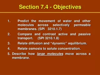 Section 7.4 - Objectives