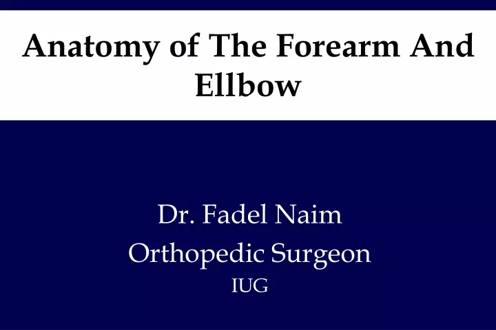 anatomy of the forearm and ellbow