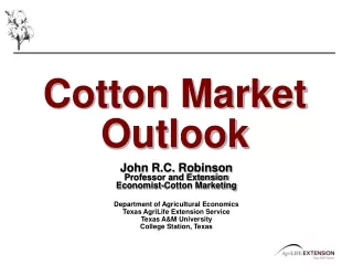 Cotton Market Outlook