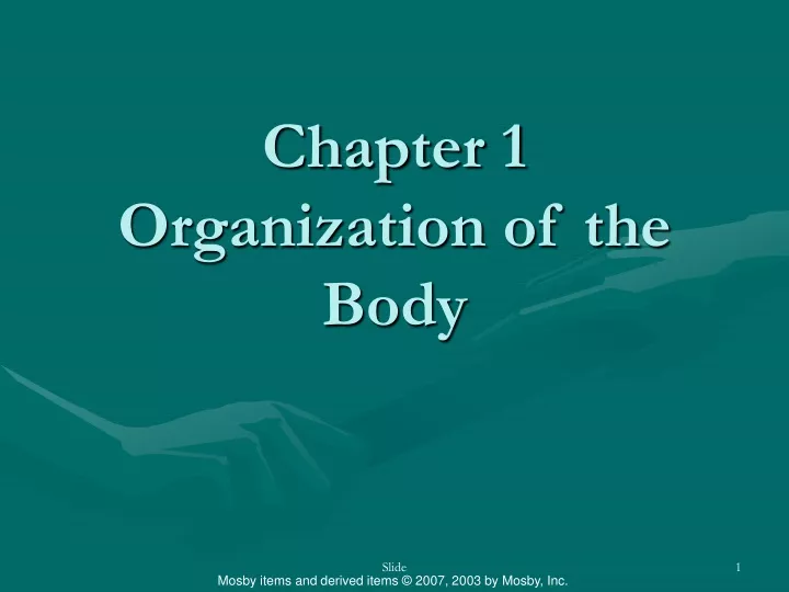 chapter 1 organization of the body