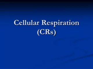 Cellular Respiration (CRs)
