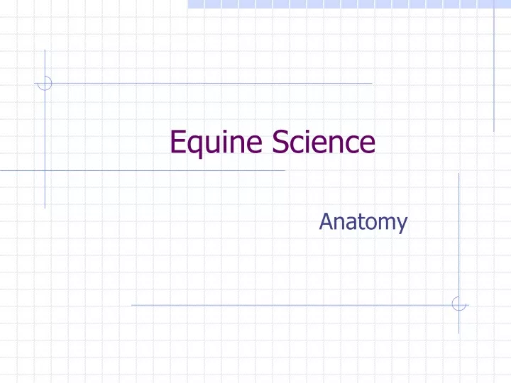 equine science