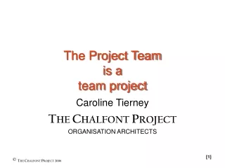 The Project Team is a  team project