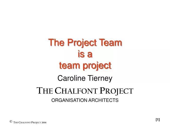 the project team is a team project