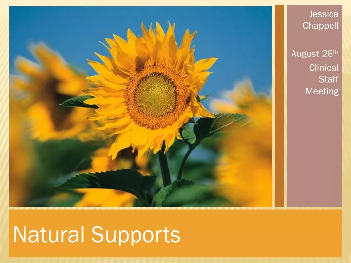 natural supports