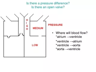 Is there a pressure difference? Is there an open valve?