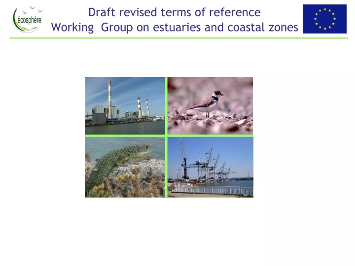 draft revised terms of reference working group on estuaries and coastal zones