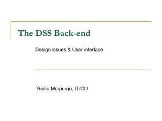 The DSS Back-end