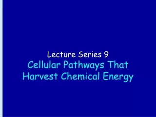 Lecture Series 9 Cellular Pathways That Harvest Chemical Energy