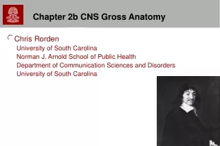 Chapter 2b CNS  Gross Anatomy