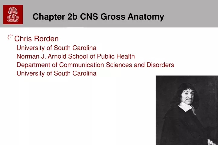 chapter 2b cns gross anatomy