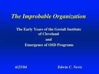 the improbable organization