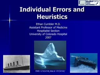 Individual Errors and Heuristics