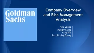Company Overview and Risk Management Analysis