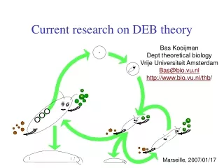 Current research on DEB theory
