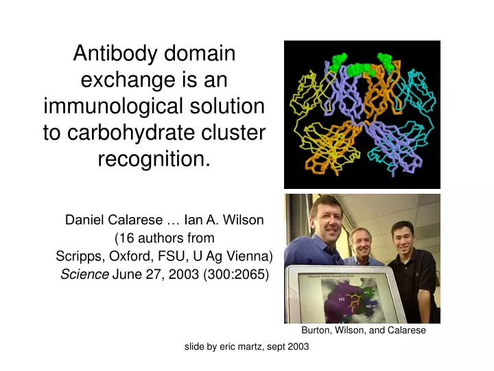 antibody domain exchange is an immunological solution to carbohydrate cluster recognition