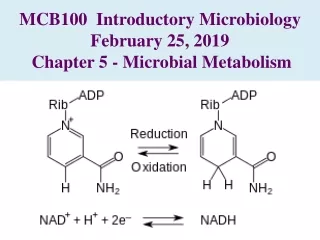 MCB100  Introductory Microbiology  February 25, 2019 Chapter 5 - Microbial Metabolism