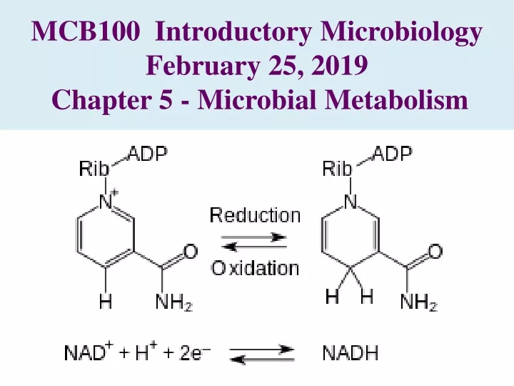 mcb100 introductory microbiology february 25 2019