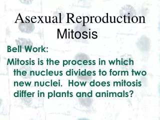 Asexual Reproduction