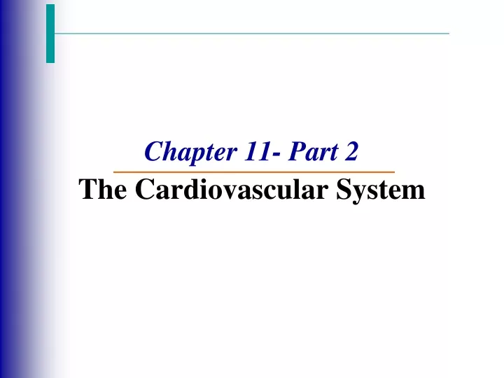 chapter 11 part 2 the cardiovascular system
