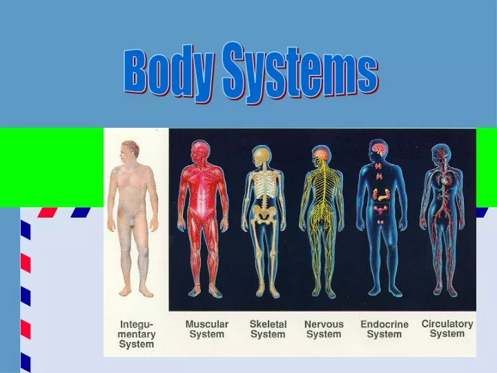 body systems