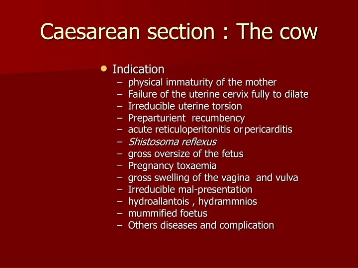caesarean section the cow