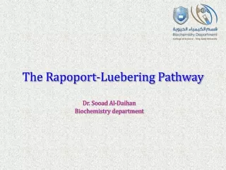 The Rapoport-Luebering Pathway