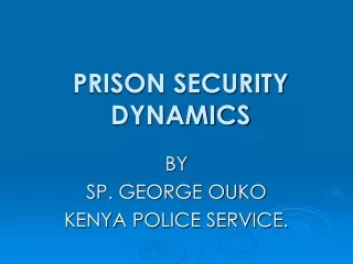 PRISON SECURITY DYNAMICS