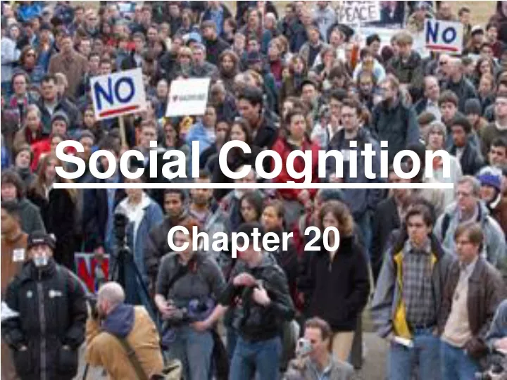 social cognition